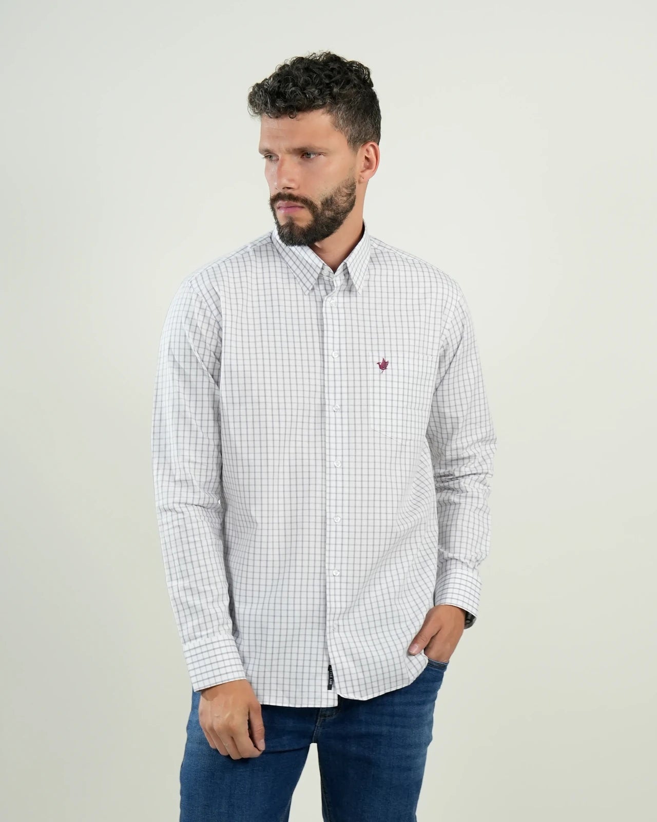 Camisa de vestir a cuadros blancos y azules