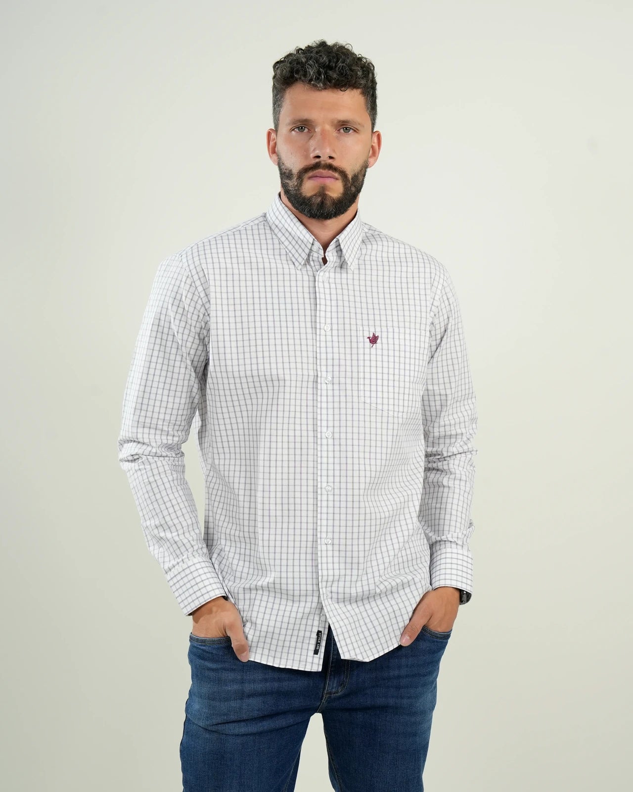 Camisa de vestir a cuadros blancos y azules